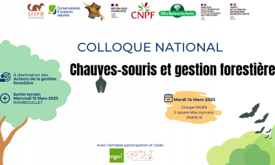 Affiche_colloque_CS_gestionForestiere