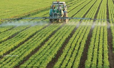 agriculture_LOA_CP_Juin2024-u_wqqh87ok4g_Pixabay