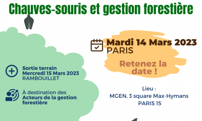 colloque_CS_foret2023