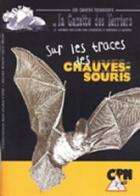 Sur les traces des chauves-souris