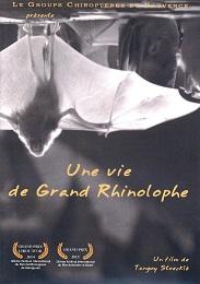 Une vie de grand rhinolophe