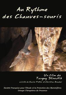 Au rythme des chauves-souris