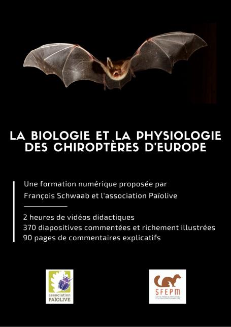La biologie et la physiologie des Chiroptères d’Europe