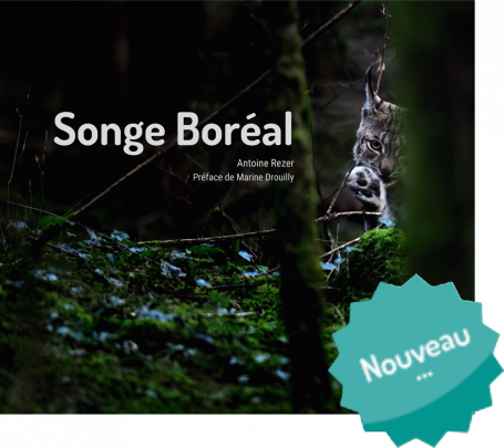 Songe Boréal - Antoine REZER