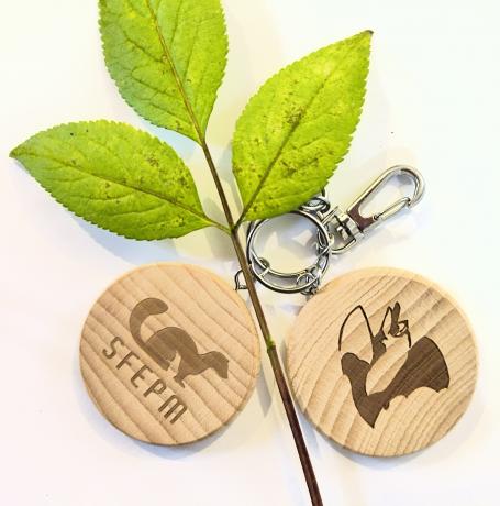 Porte-clés Murin de Bechstein