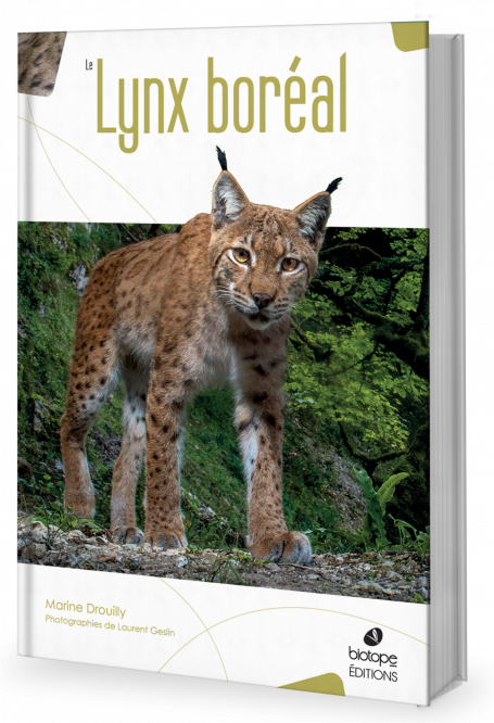 Le Lynx boréal - BIOTOPE