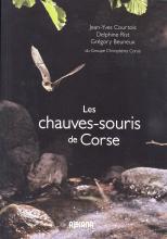 Chauves-souris corse