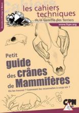 Crânes de mammifères