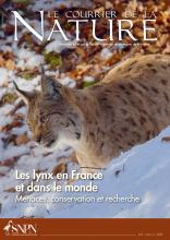 CDN-Couverture lynx