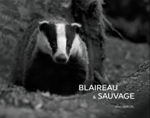 couverture-Blaireau_Sauvage