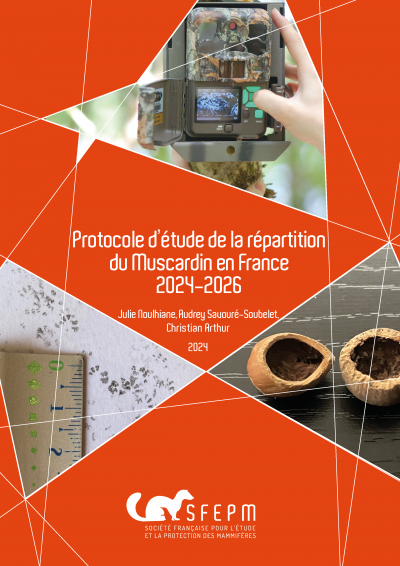 Couv-Protocole-Etude-Repartition-Muscardin-France-2024-2026