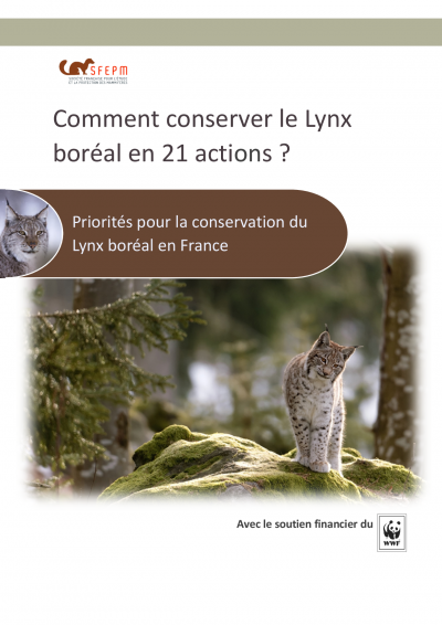 Plaquette Lynx 21 actions