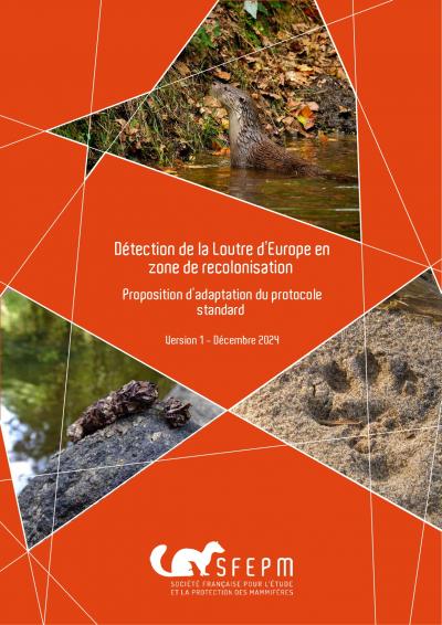 couv_Protocole_detection_Loutre_zone_recolonisation_V1_dec2024