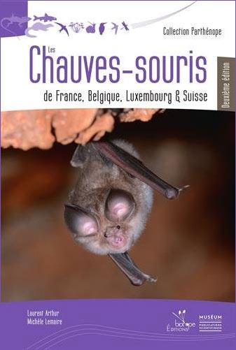 bibliographie les chauves-souris