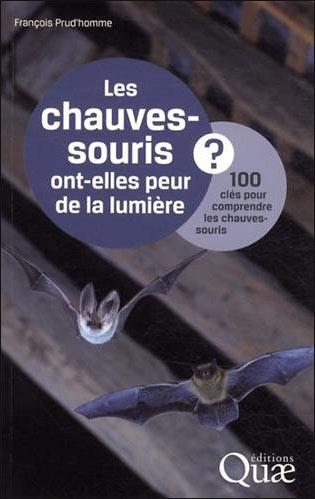 Les chauves souris et la lumière