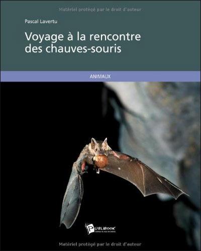 Voyage à la rencontre des chauves-souris