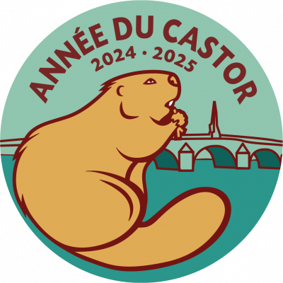 logo-annee-castor