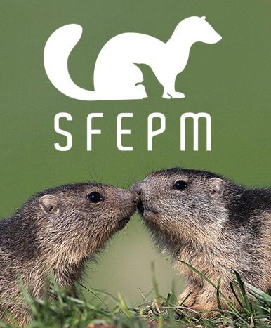 SFEPM