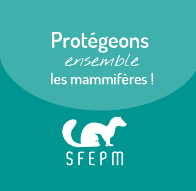 Protégeons ensemble les mammifères ! Protégeons ensemble les mammifères ! - SFEPM