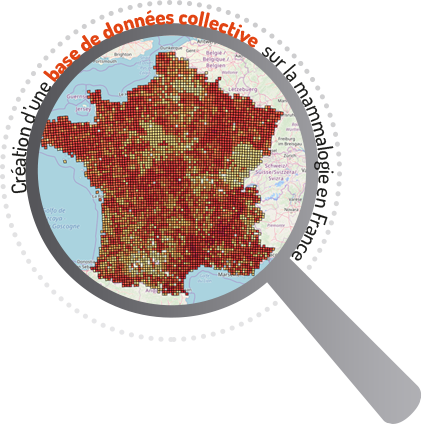 Création d'une base de données collective sur la mammalogie en France